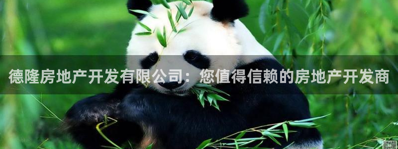 万向娱乐的联系方式有哪些