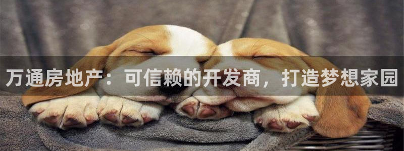 万向娱乐灯333OO