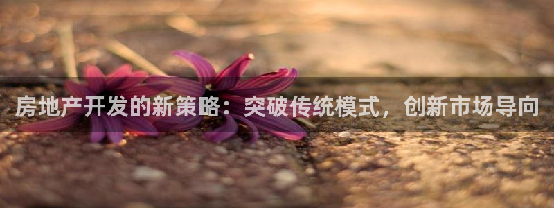 万向娱乐官网下载安卓