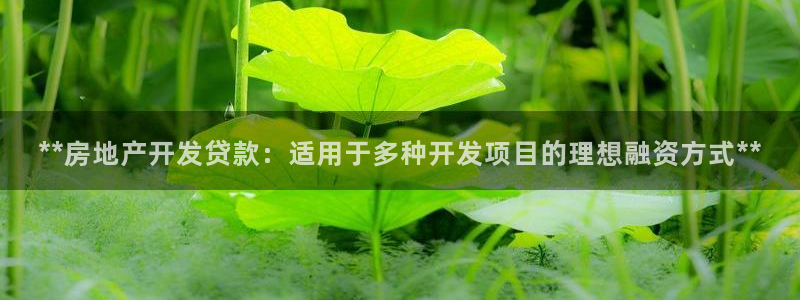 万向娱乐平台代理怎么样赚钱