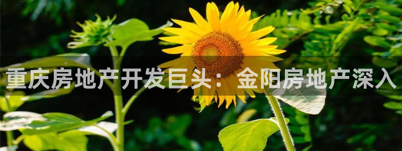 万向娱乐公司官网电话
