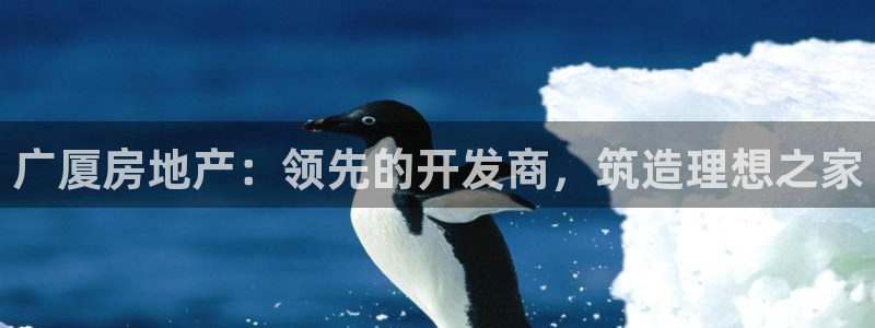 万向娱乐挂机