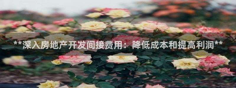 万向娱乐挂机软件