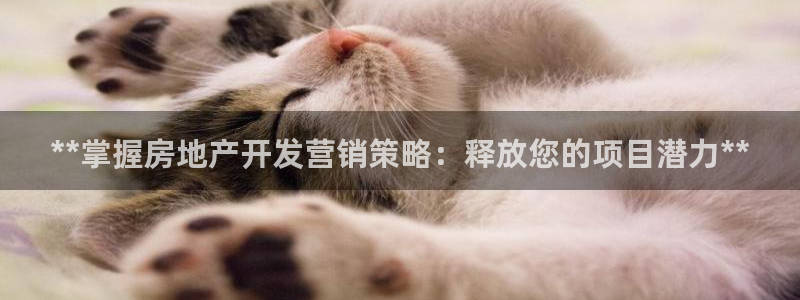 万向娱乐公司官网