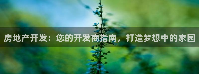 万向娱乐下载安装