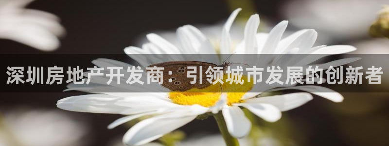 万向娱乐官网网址大全
