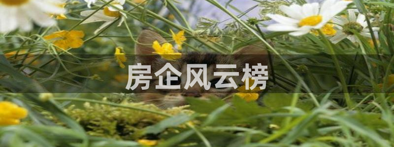 万向娱乐登陆官网下载