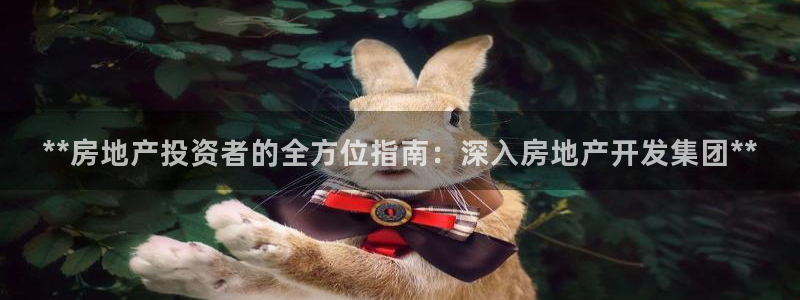 万向娱乐的494o3 主管