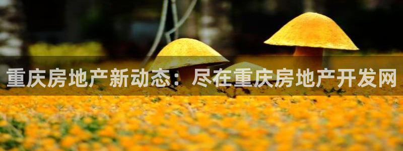 万向娱乐登陆官网下载