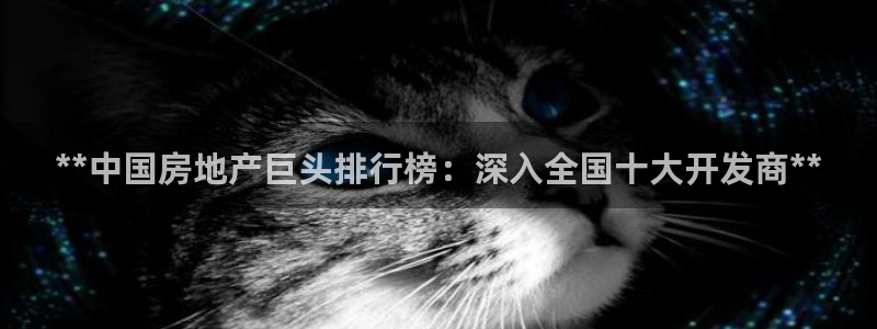 万向娱乐平台代理怎么样