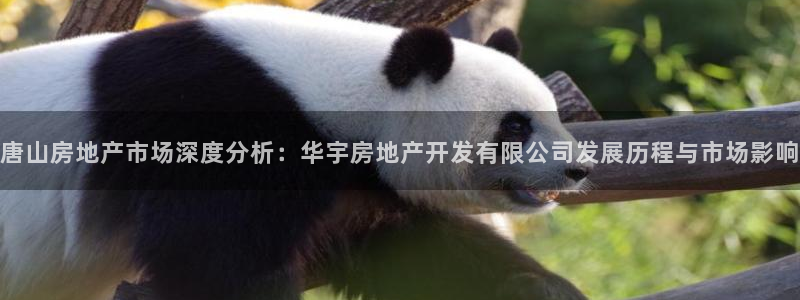 万向娱乐公司 585.34I 娱乐