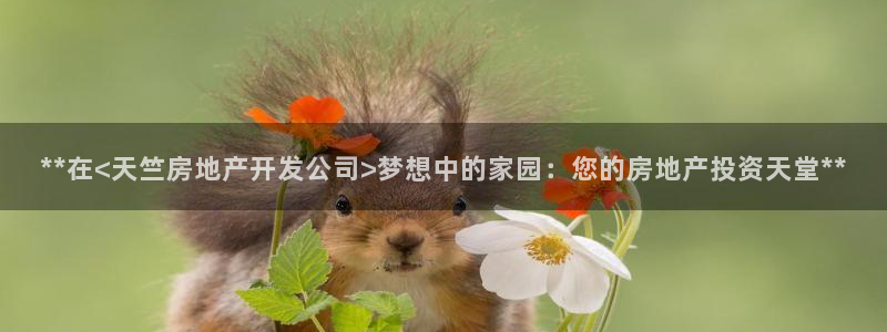 万向娱乐平台代理多少钱一个月