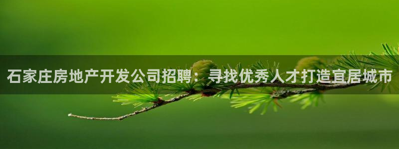 万向娱乐平台下载安装手机版