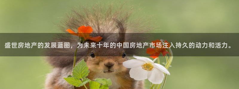 万向娱乐招商
