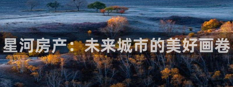 万向娱乐的联系方式是什么