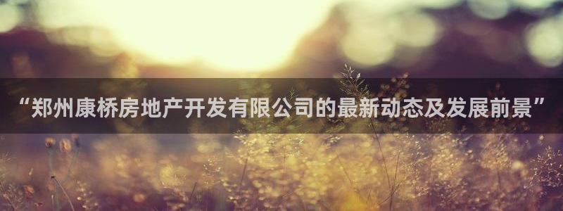 万向娱乐挂机