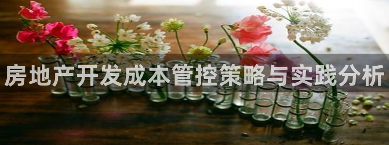 万向娱乐app下载
