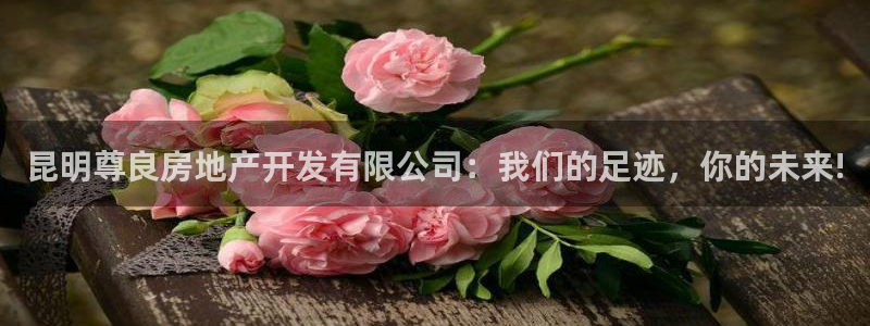 万向娱乐登陆官网入口