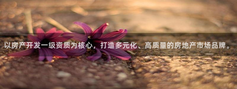 万向娱乐官网网址大全