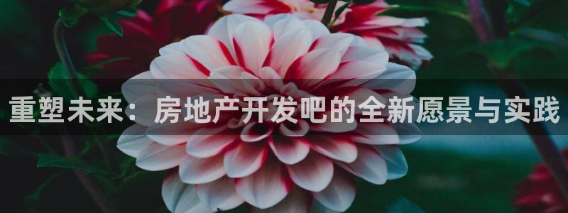 万向娱乐下载安装