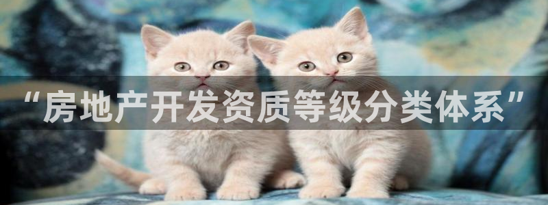 万向娱乐平台代理怎么样可靠吗