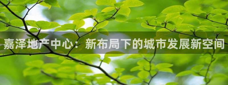 万向娱乐网址是什么