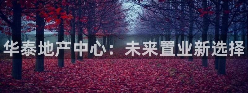 万向娱乐是野鸡台吗