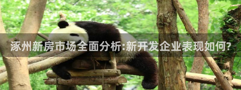 万向娱乐总代