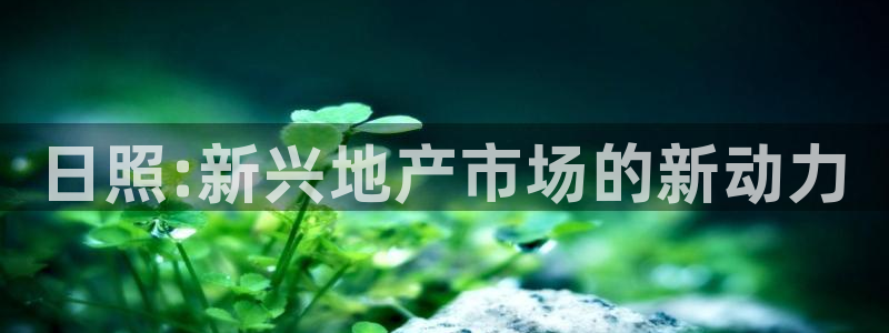 万向娱乐灯333OO