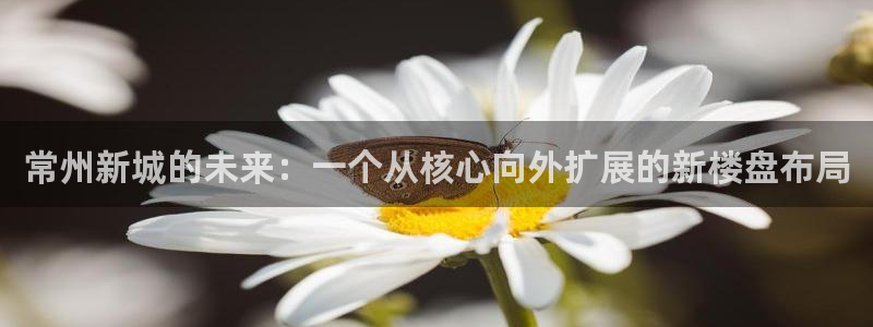 万向娱乐登陆官网入口