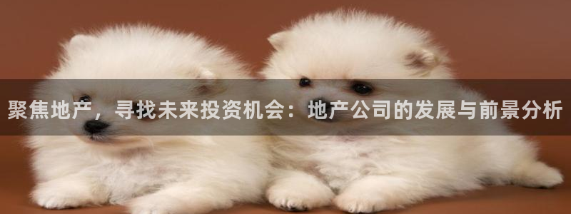 万向娱乐官网下载安装最新版