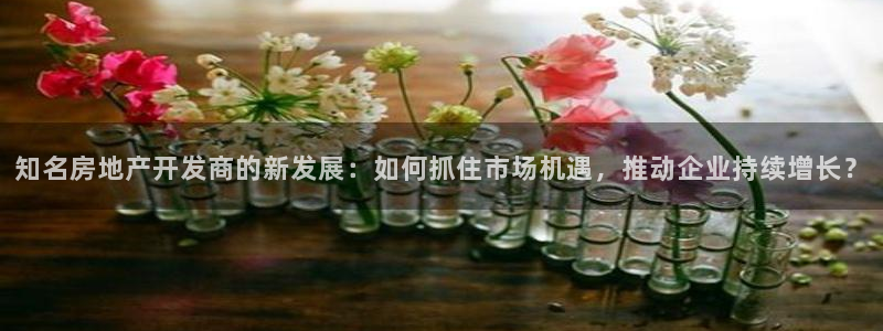 万向娱乐平台代理多少钱一个月