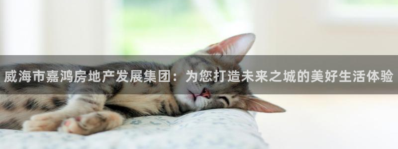 万向娱乐平台代理怎么样可靠吗