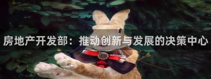 万向娱乐平台代理怎么做